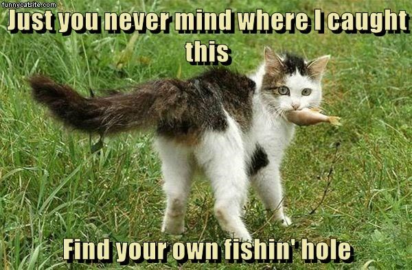 Cheezburger Image 9012951808