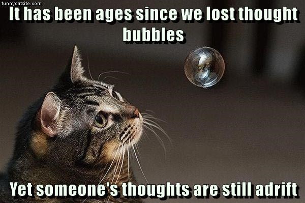 Cheezburger Image 9013120768