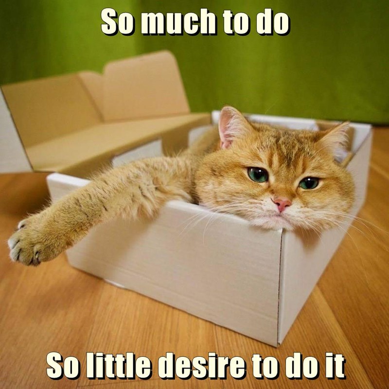 Cheezburger Image 9013137920