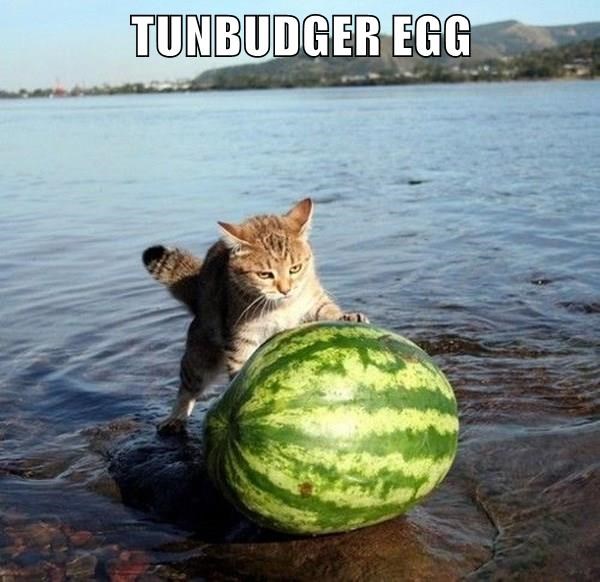 Cheezburger Image 9013154560