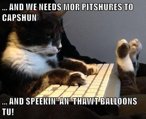 Cheezburger Image 9013166336