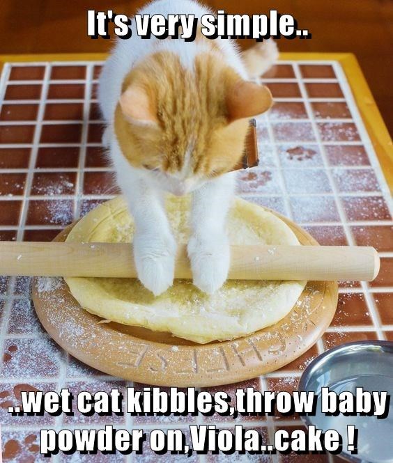 Cheezburger Image 9013247488