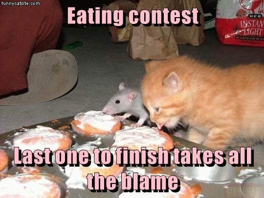 Cheezburger Image 9013416704