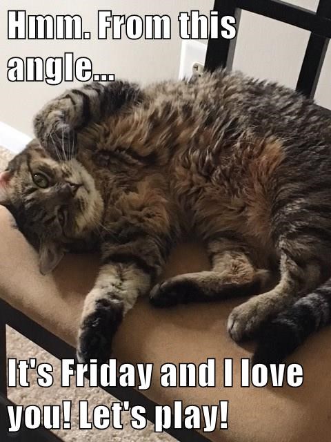 Cheezburger Image 9013940224
