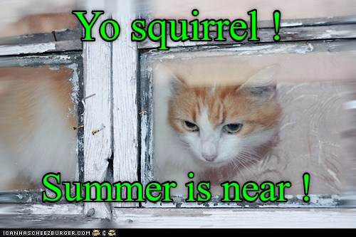 Cheezburger Image 9013956352
