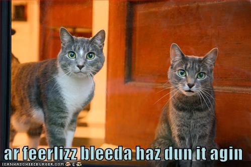 Cheezburger Image 9014162944
