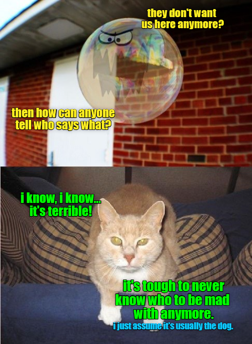 Cheezburger Image 9014228224