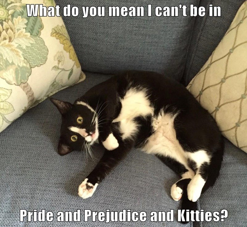 Cheezburger Image 9014264832