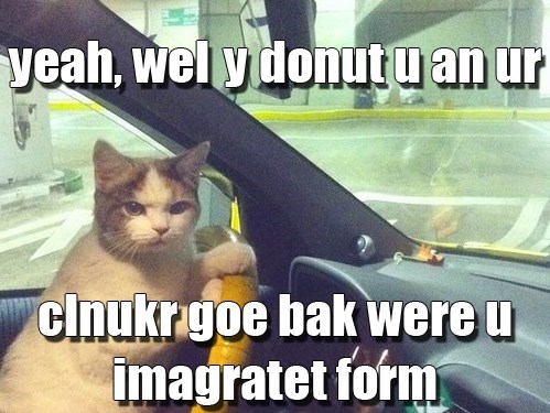 Cheezburger Image 9014269184