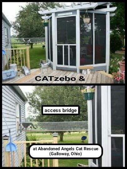 Cheezburger Image 9014517760