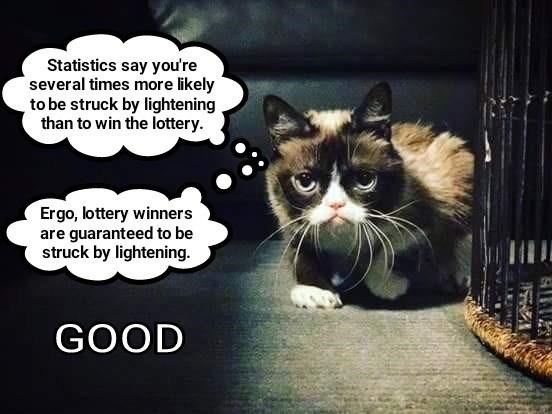 Cheezburger Image 9014523136