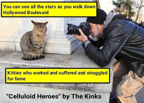 Cheezburger Image 9014525440