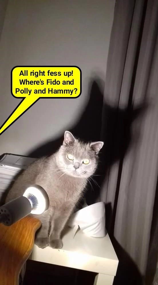 Cheezburger Image 9014528256