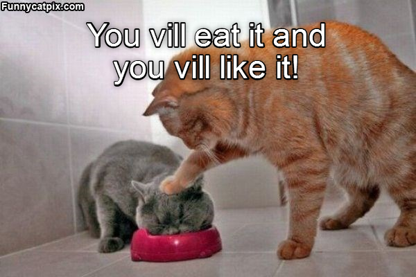 Cheezburger Image 9014559232