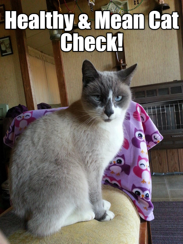 Cheezburger Image 9014605824