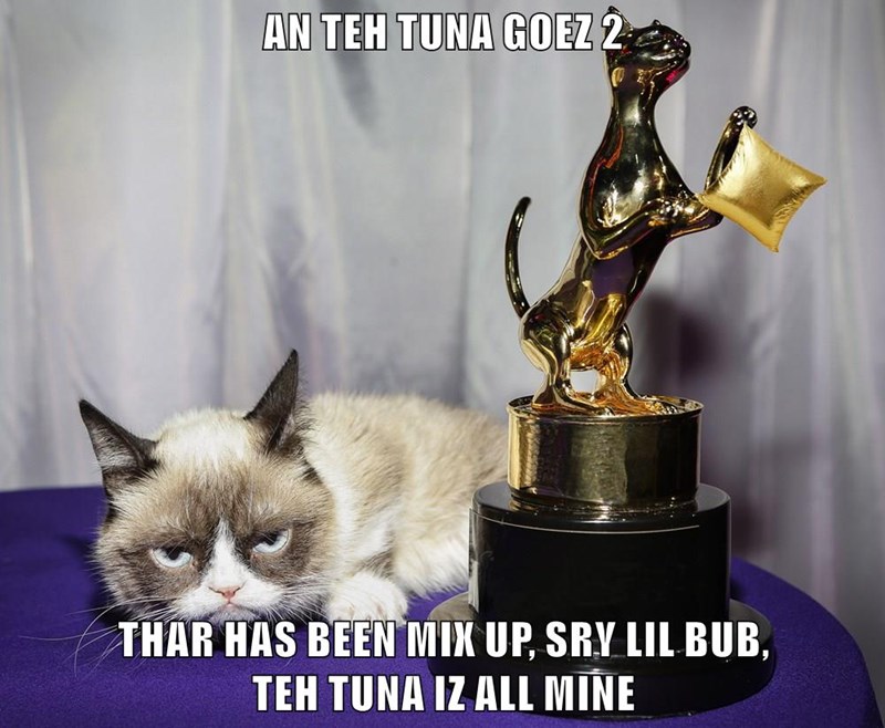 Cheezburger Image 9014616320