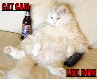 Cheezburger Image 9014619392