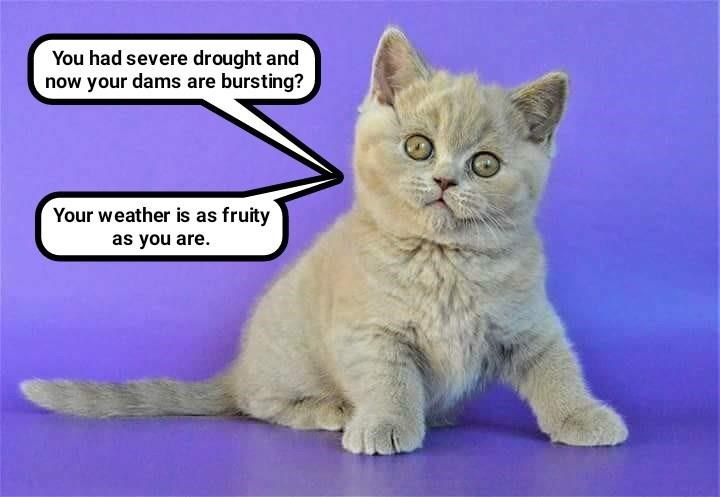 Cheezburger Image 9014631424