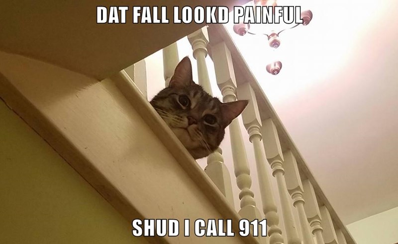 Cheezburger Image 9014713344