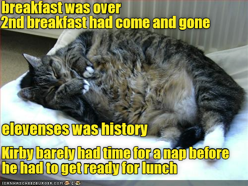 Cheezburger Image 9014754048