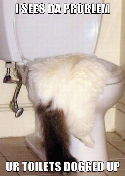 Cheezburger Image 9014798848