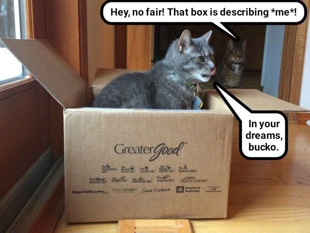 Cheezburger Image 9014871296