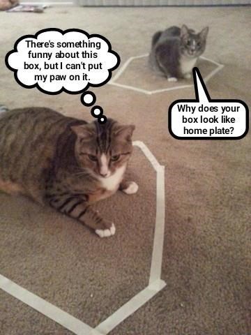 Cheezburger Image 9014872576