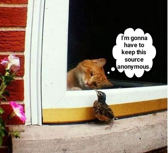 Cheezburger Image 9014875136