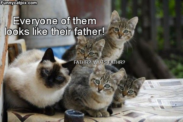 Cheezburger Image 9014892032