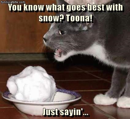 Cheezburger Image 9014922240