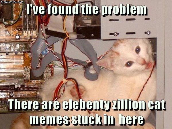 Cheezburger Image 9014927872