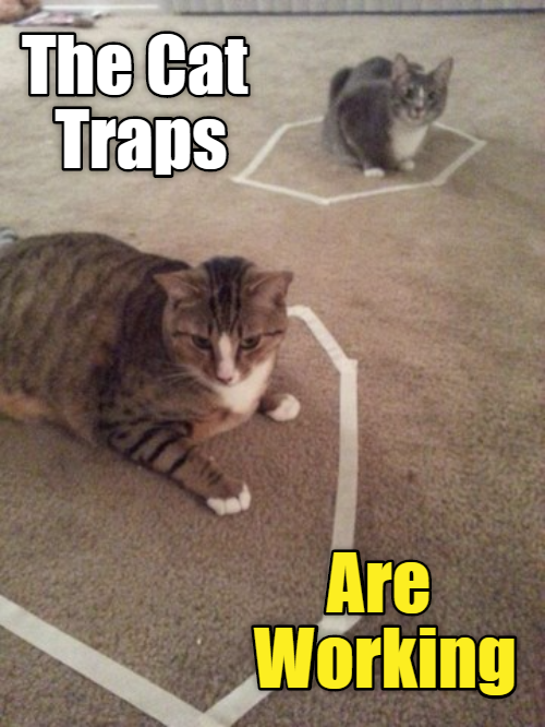 Cheezburger Image 9015223808