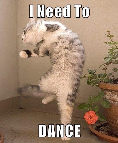 Cheezburger Image 9015241984