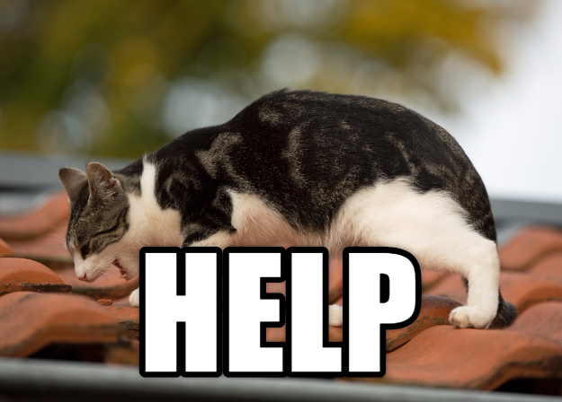 Cheezburger Image 9015243264