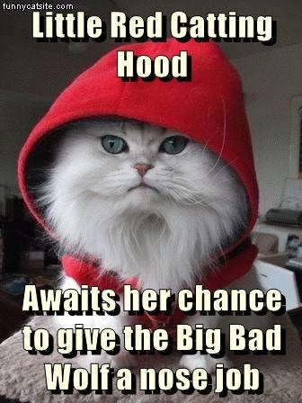 Cheezburger Image 9015310336