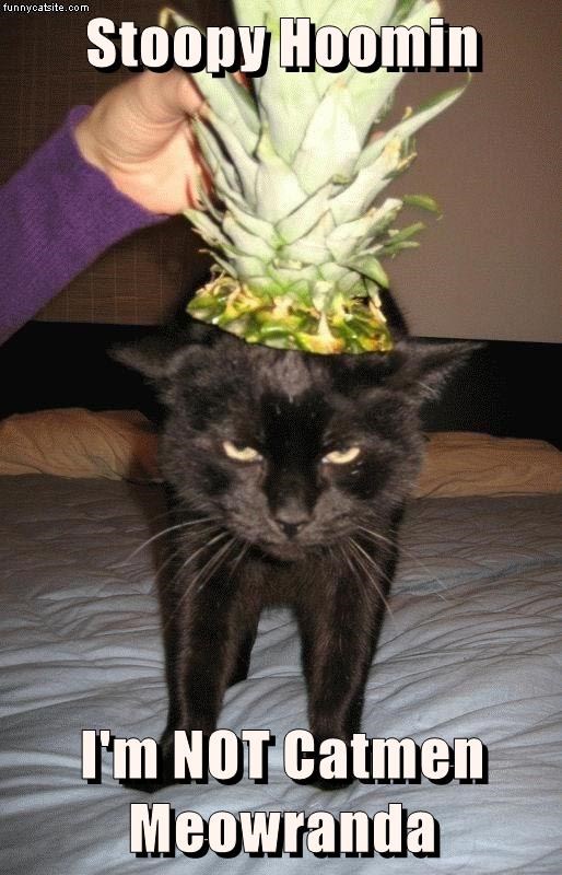 Cheezburger Image 9015311872