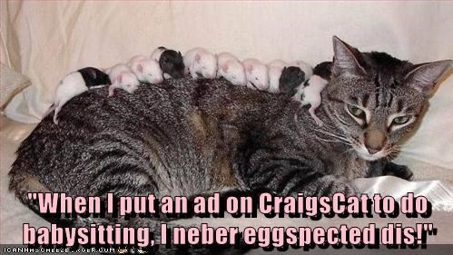 Cheezburger Image 9015505152