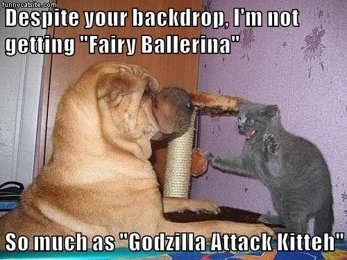 Cheezburger Image 9015521024