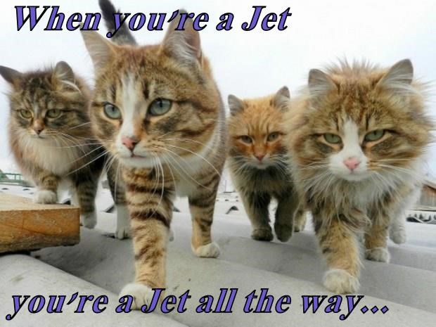 Cheezburger Image 9015525376