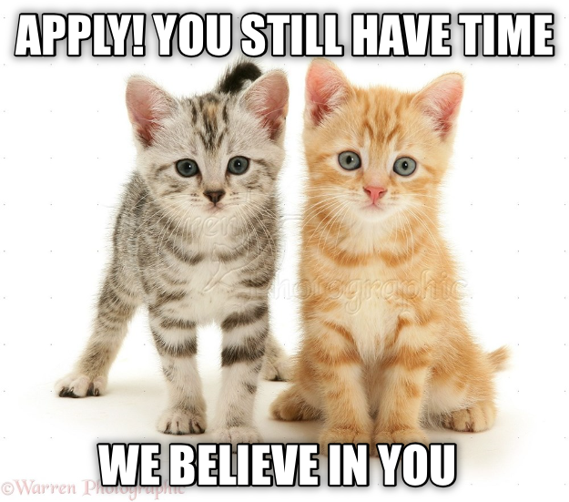 Cheezburger Image 9015529216