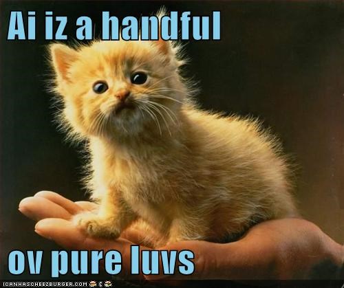 Cheezburger Image 9015560960