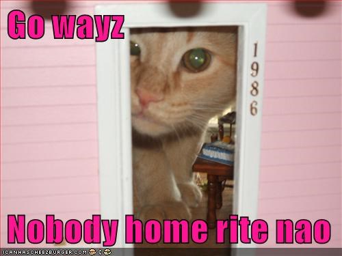 Cheezburger Image 9015561984