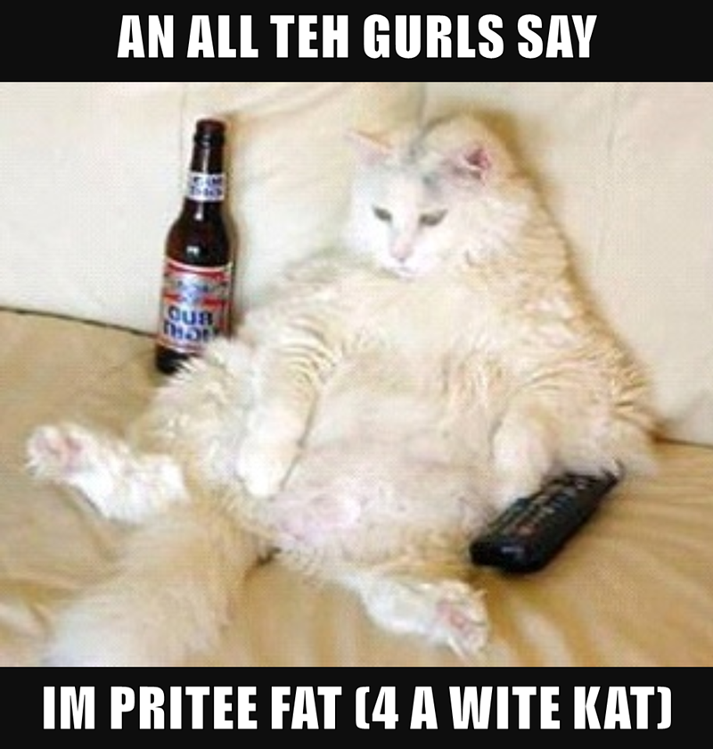 Cheezburger Image 9015575040