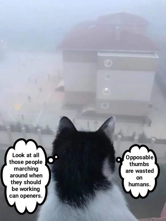 Cheezburger Image 9015676672