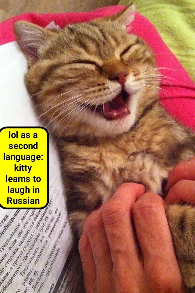 Cheezburger Image 9015687424