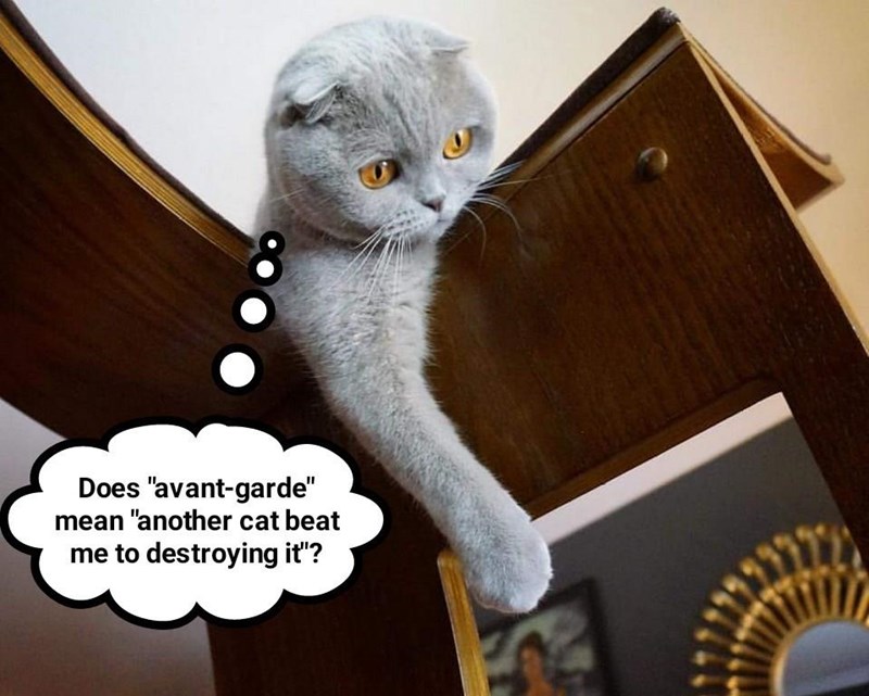 Cheezburger Image 9015689728