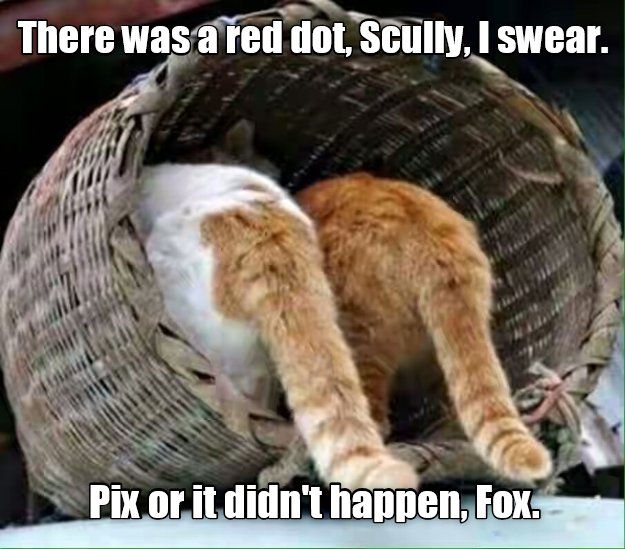 Cheezburger Image 9015692032