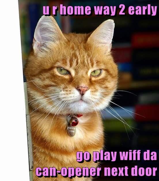 Cheezburger Image 9015742208