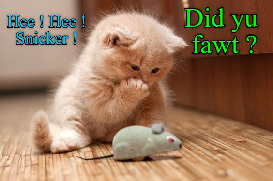 Cheezburger Image 9015801856