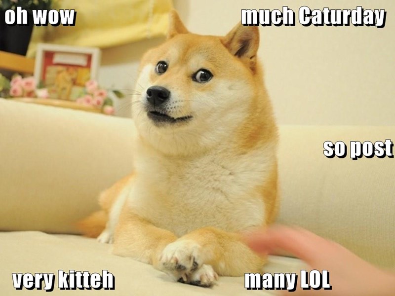 Cheezburger Image 9015834624